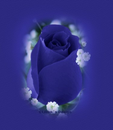 L'Amour comme une fleur